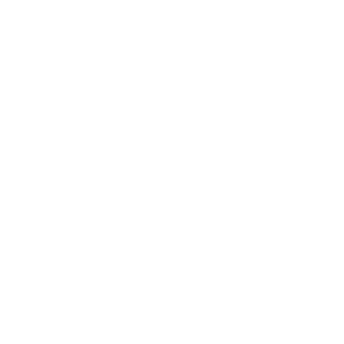 KLEAN VET